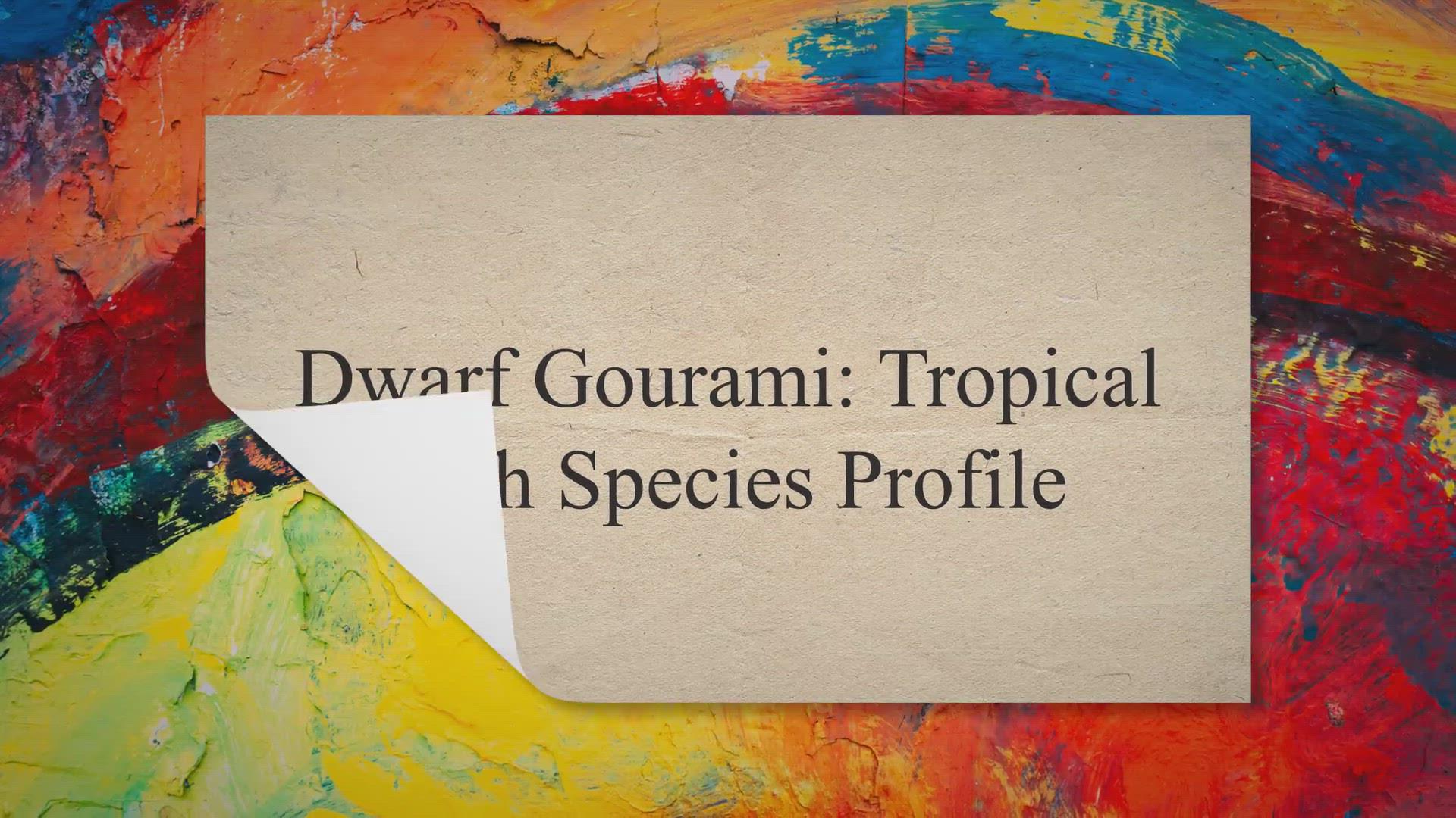 'Video thumbnail for Dwarf Gourami: Tropical Fish Species Profile'
