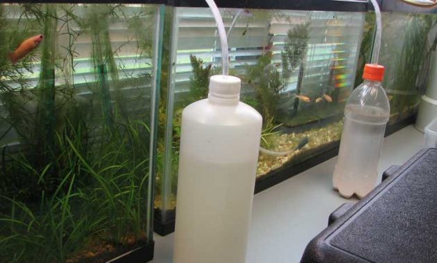 Co2 is an Important Element in the Aquascape