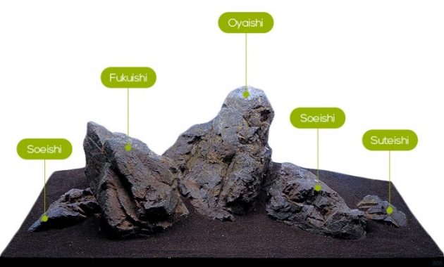 Understanding Rock of Aquascape Iwagumi Style
