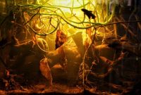 Asian Popular Freshwater Aquarium Fish Types That Originally Live In Blackwater